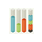 Worldwide PowerBuilder Survey