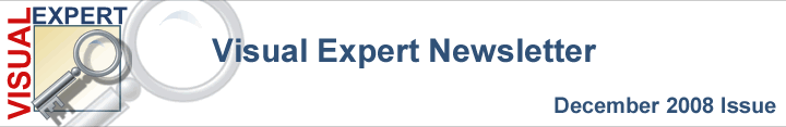 Visual Expert Newsletter - November 2008 issue