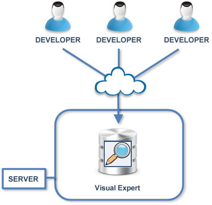 Visual Expert Team System