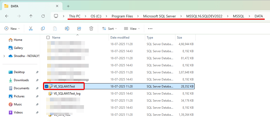 Confirm MDF and LDF File Paths