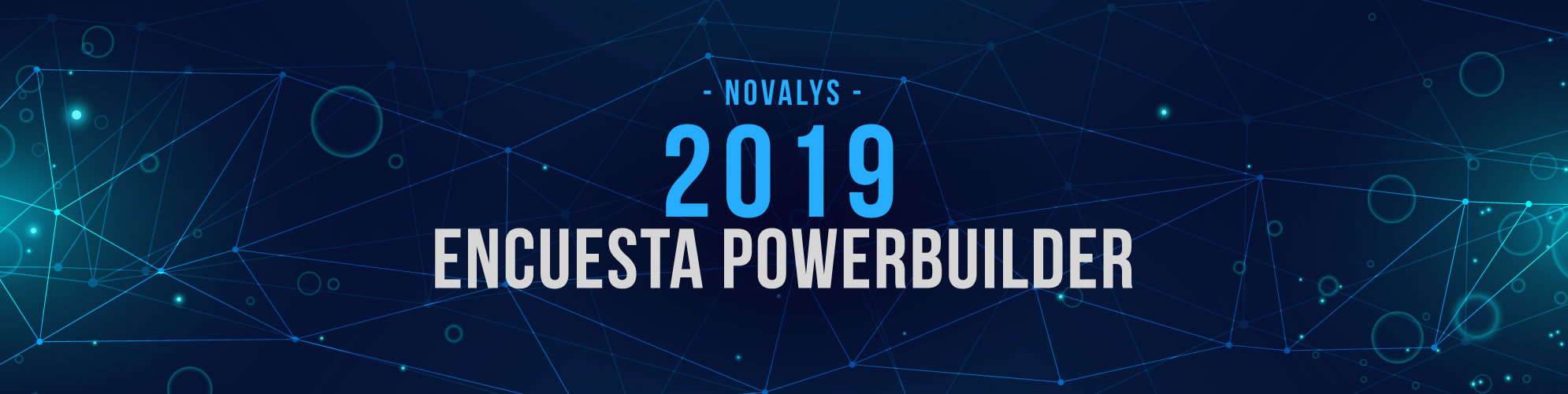 Novalys PowerBuilder Survey 2019