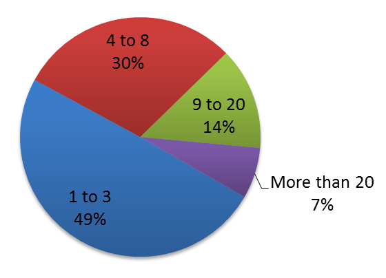 PowerBuilder Team Size