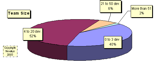 PowerBuilder team size