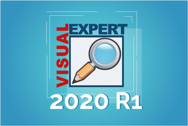 Visual Expert 2020