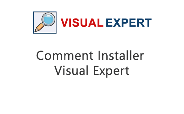 How does Visual Expert works