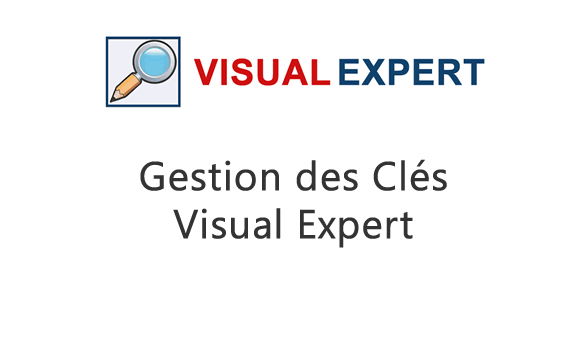 Managing Visual Expert Keys