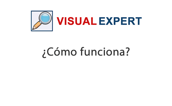 Como funciona Visual Expert