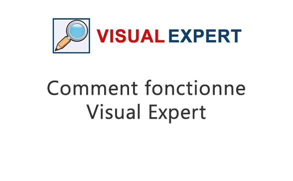 How does Visual Expert works