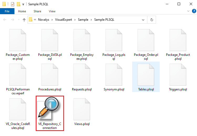 Visual Expert Master Repository Connection File